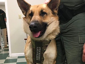 bcsd photo gallery